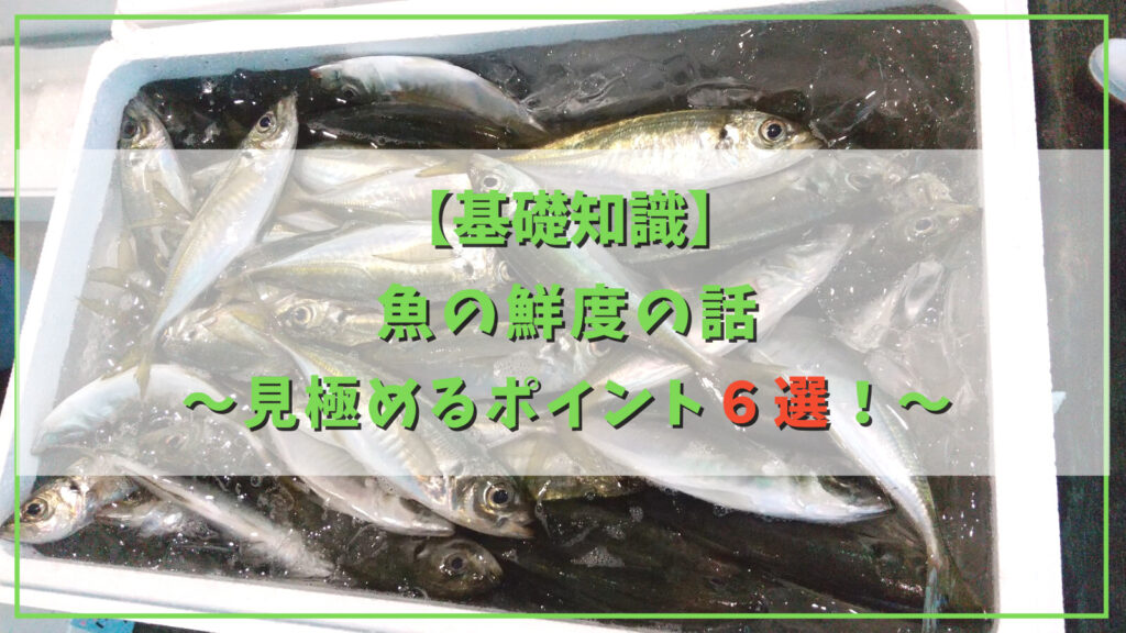 魚 鮮度保持法 手順 – 魚の鮮度を保つ工夫 _ 魚介類の鮮度判定法 – KFAT