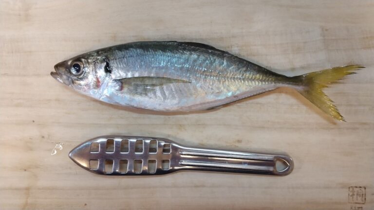 鮮魚の基本のさばき方!気をつけるポイントを解説 | まいにち、シーフード