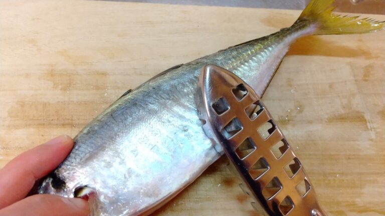 鮮魚の基本のさばき方!気をつけるポイントを解説 | まいにち、シーフード