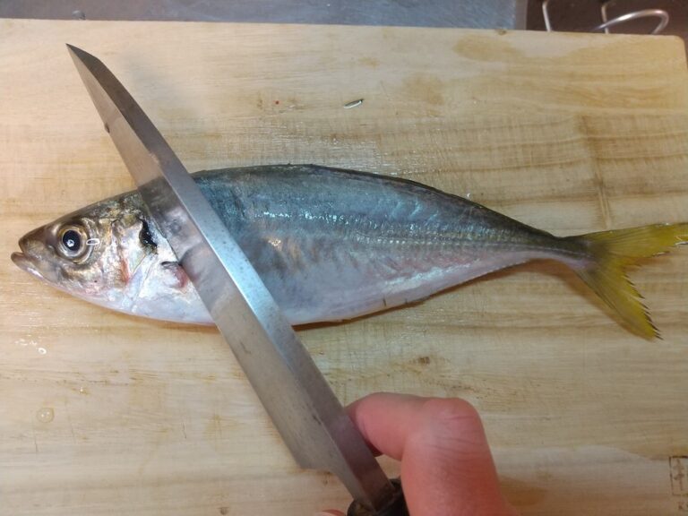 鮮魚の基本のさばき方!気をつけるポイントを解説 | まいにち、シーフード