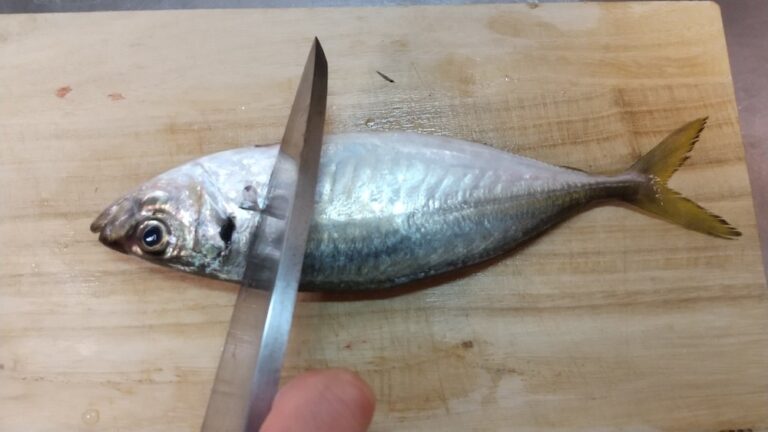 鮮魚の基本のさばき方!気をつけるポイントを解説 | まいにち、シーフード